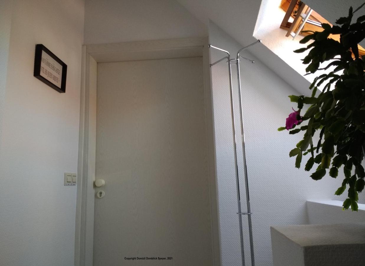 Domizil Domblick Speyer City, Garage, 50M2 Экстерьер фото